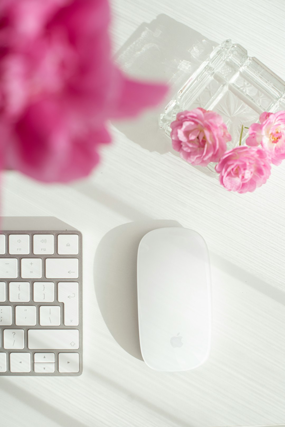 white apple magic mouse beside pink flower on white wooden table